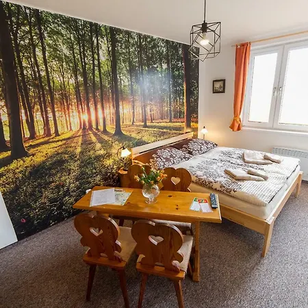 Pensionat Penzion Top 3*