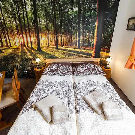 Penzion Top Gasthuis